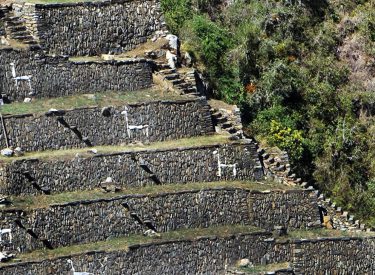 Caminata Choquequirao a Machu Picchu - 7 días - 8