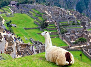 Short Inca Trail to Machu Picchu - 2 Days - P6